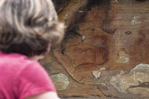 Sydney Private Tour Featuring Wilderness, Wildlife, Waves, Waterfalls And Wine - Book Restaurant 2