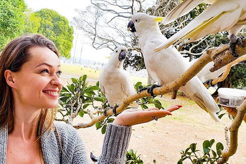 Sydney Private Tour Featuring Wilderness, Wildlife, Waves, Waterfalls And Wine - Book Restaurant 4