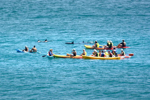 The Byron Bay Sea Kayak Tour - Book Restaurant 1