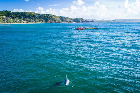 The Byron Bay Sea Kayak Tour - Book Restaurant 2