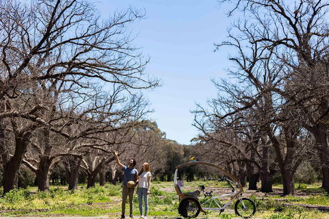 Adelaide 90-Minute Pedicab Tour: Scenic Green & River Experience - Book Restaurant 1