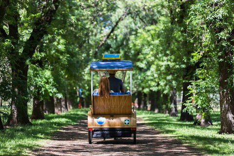 Adelaide 90-Minute Pedicab Tour: Scenic Green & River Experience - Book Restaurant 2