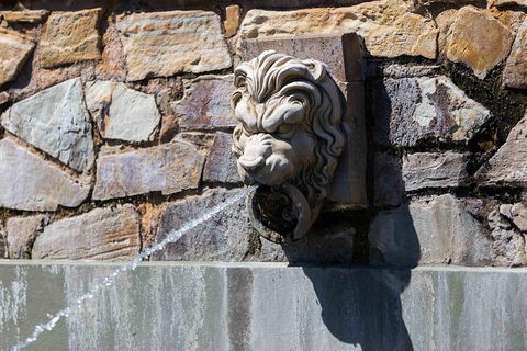 Adelaide 90-Minute Pedicab Tour: Scenic Green & River Experience - Book Restaurant 3