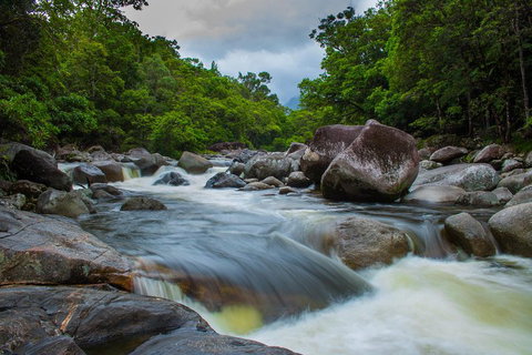 Cape Tribulation Day Tour - Book Restaurant 0