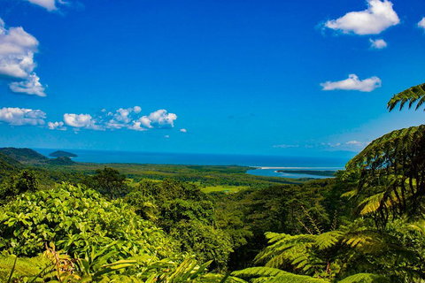Cape Tribulation Day Tour - Book Restaurant 3