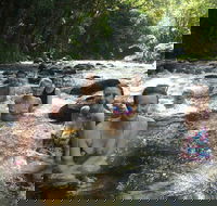 Daintree Rainforest Cape Tribulation Mossman Gorge Small-Group Day Tour - Book Restaurant