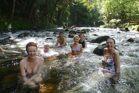 Daintree Rainforest, Cape Tribulation, Mossman Gorge Small-Group Day Tour - Book Restaurant 0