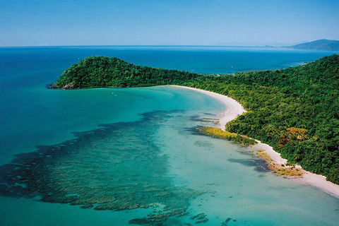 Daintree Rainforest, Cape Tribulation, Mossman Gorge Small-Group Day Tour - Book Restaurant 4