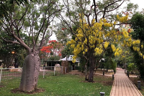 Wet Season Mitchell Falls Tour - Mitchell Falls, Horizontal Falls & Cygnet Bay - Book Restaurant 1
