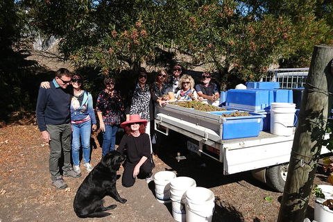 Valleys Of Vino Tour - Book Restaurant 1