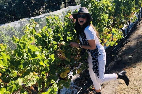 Valleys Of Vino Tour - Book Restaurant 3