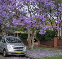 Sydney Secrets  Bondi Beach Private 4 Hr Morning with Personalised Sydney Tours - Book Restaurant