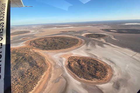 Scenic Flight: Lizard Safari - Book Restaurant 1