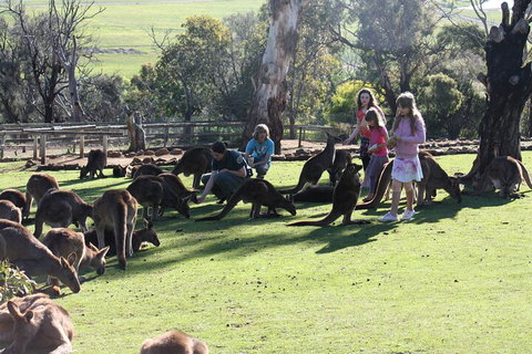 The Port Arthur MEGA Day Trip From Hobart - Book Restaurant 5