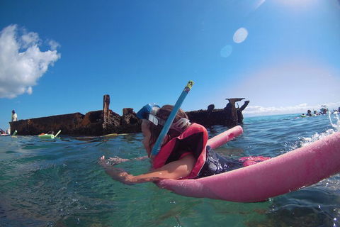 All Inclusive Dolphin And Tangalooma Wrecks Cruise - Book Restaurant 2