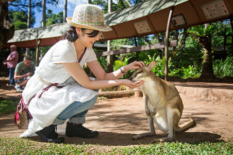 Kuranda Day Tour, TKS-RFS GRAND GOLD PLUS 0930 - Book Restaurant 3