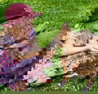 Kuranda Day Tour  HotAir Balloon Combo - Book Restaurant