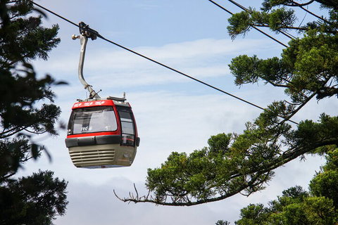 Sydney Taronga Zoo General Entry Ticket And Wild Australia Experience - Book Restaurant 2