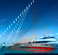 Passions of Paradise Great Barrier Reef Snorkel and Dive Cruise from Cairns by Luxury Catamaran - Book Restaurant