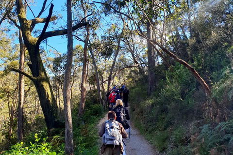 Self-Guided Waterfall Gully To Mount Lofty Hike From Adelaide - Book Restaurant 1