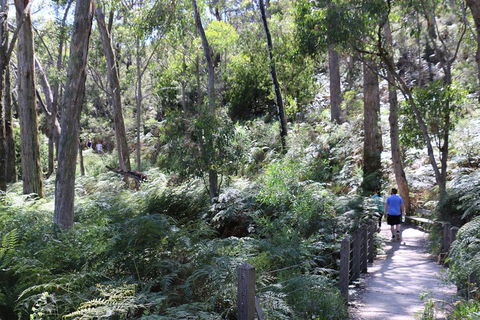 Self-Guided Waterfall Gully To Mount Lofty Hike From Adelaide - Book Restaurant 2