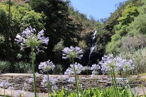 Self-Guided Waterfall Gully To Mount Lofty Hike From Adelaide - Book Restaurant 3