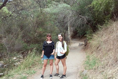 Self-Guided Waterfall Gully To Mount Lofty Hike From Adelaide - Book Restaurant 4