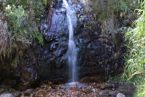 Self-Guided Waterfall Gully To Mount Lofty Hike From Adelaide - Book Restaurant 5