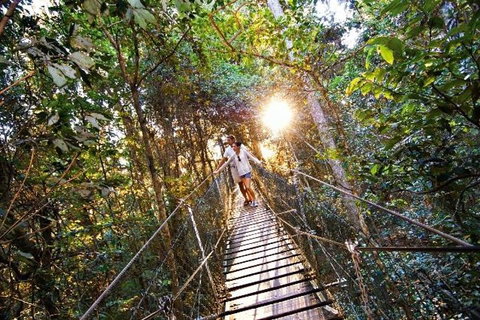 O'Reilly's & Lamington National Park From Brisbane - Book Restaurant 5