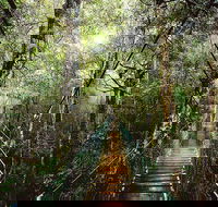 O'Reilly's  Lamington National Park from Gold Coast - Book Restaurant