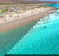 Ningaloo in a Day - Full Day Hike and Snorkel Tour with Lunch - Book Restaurant
