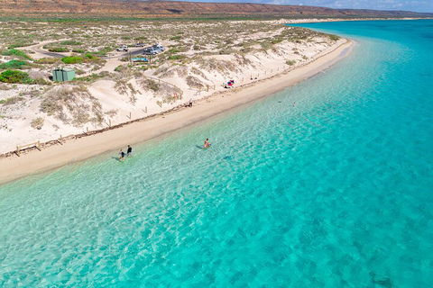 Ningaloo In A Day - Full Day Hike And Snorkel Tour With Lunch - Book Restaurant 0