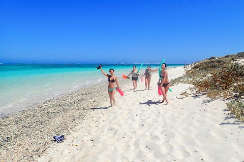 Ningaloo In A Day - Full Day Hike And Snorkel Tour With Lunch - Book Restaurant 1