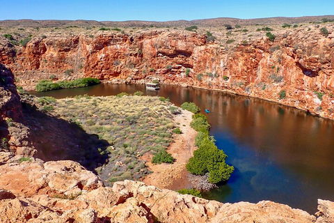 Ningaloo In A Day - Full Day Hike And Snorkel Tour With Lunch - Book Restaurant 2