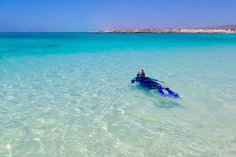 Ningaloo In A Day - Full Day Hike And Snorkel Tour With Lunch - Book Restaurant 4