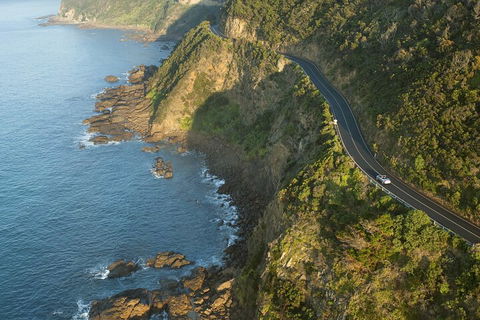 LGBT+ Friendly 2 Day Private Tour Great Ocean Road + Phillip Island - Book Restaurant 4
