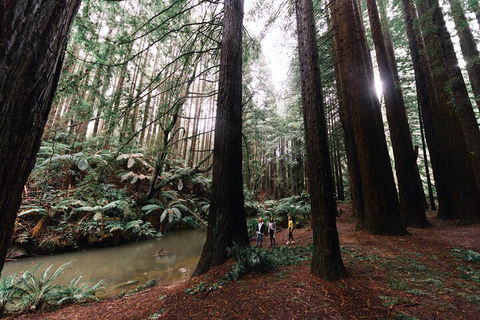 LGBT+ Friendly 3 Day Private Tour Great Ocean Road & Phillip Island - Book Restaurant 2