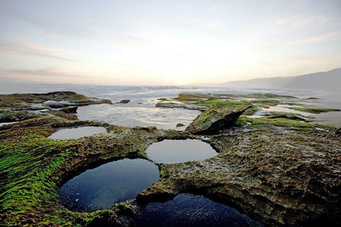 LGBT+ Friendly 3 Day Private Tour Great Ocean Road & Phillip Island - Book Restaurant 5