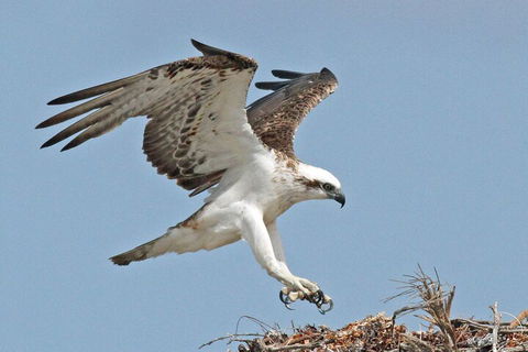 Shipwreck Special Nature Tour/Half Day Tour - Book Restaurant 4