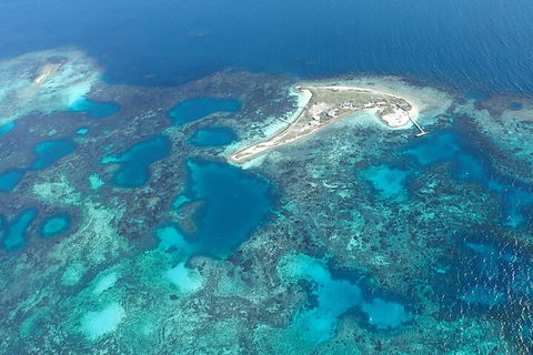 Shipwreck Special Nature Tour/Half Day Tour - Book Restaurant 5