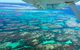 Kalbarri, Pink Lake And Abrolhos Islands Nature Tour - thumb 5