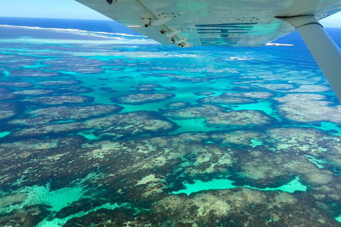 Kalbarri, Pink Lake And Abrolhos Islands Nature Tour - Book Restaurant 5