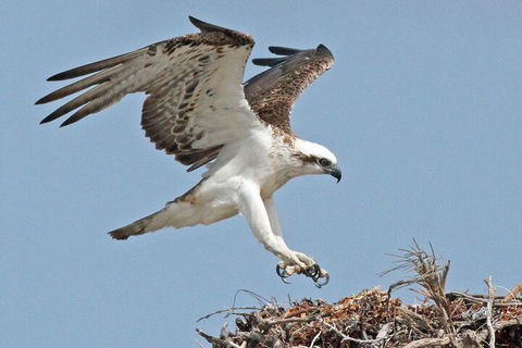 Pink Lake + Abrolhos Islands Nature Tour - Book Restaurant 3