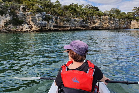 Cliffs And Caves Kayak Tour In Swan River - Book Restaurant 0