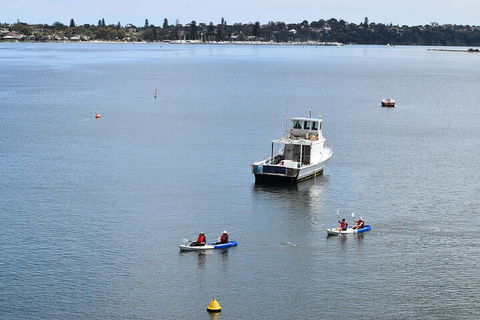 Cliffs And Caves Kayak Tour In Swan River - Book Restaurant 2