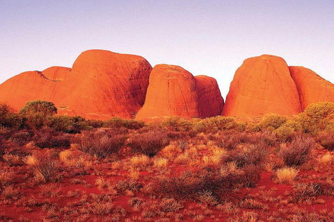 3-Day Alice Springs To Uluru (Ayers Rock) Via Kings Canyon Tour - Book Restaurant 1
