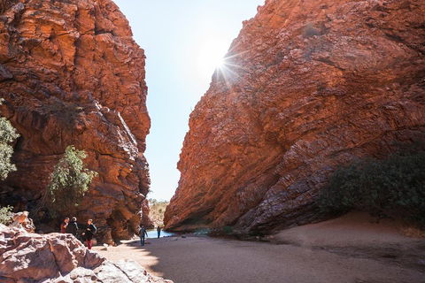 West MacDonnell Ranges- Half Day Trip From Alice Springs - Book Restaurant 0