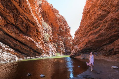 West MacDonnell Ranges- Half Day Trip From Alice Springs - Book Restaurant 1