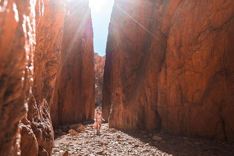 West MacDonnell Ranges- Half Day Trip From Alice Springs - Book Restaurant 4
