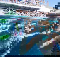 Great Barrier Reef Day Cruise from Cairns Including Snorkeling and Marine Biologist Presentation - Book Restaurant